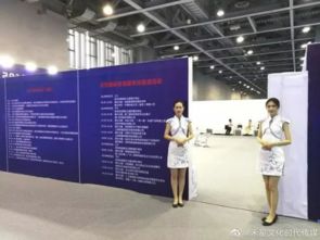 禾星文化祝贺2019首届国际贸易服务博览会圆满成功